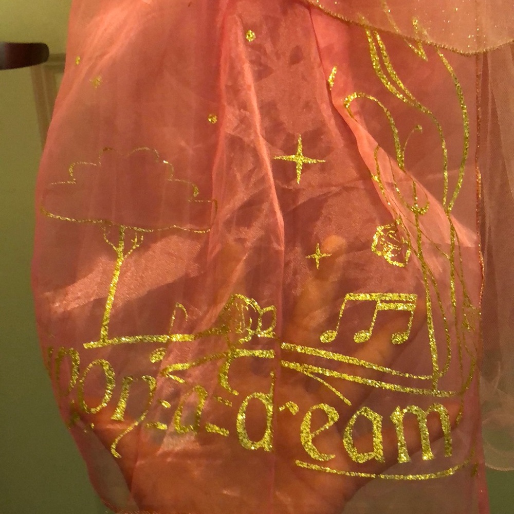 Sleeping beauty costume - Picture 4 of 5